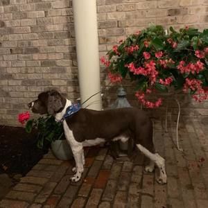 Meet your Posher, Sheila